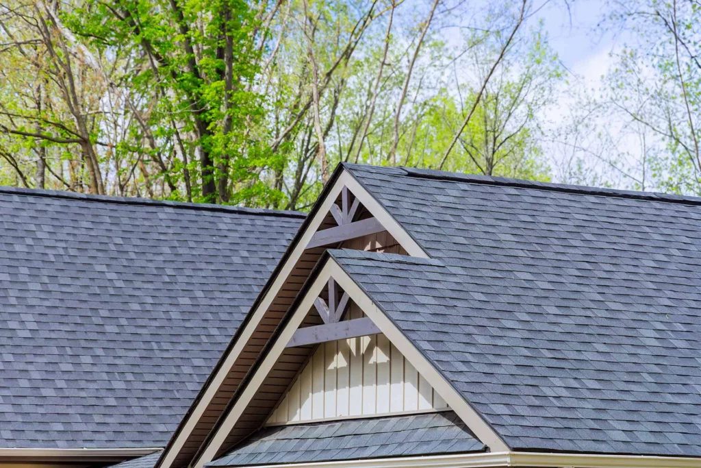 asphalt shingles